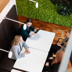 Unabhängiger Blick von außen